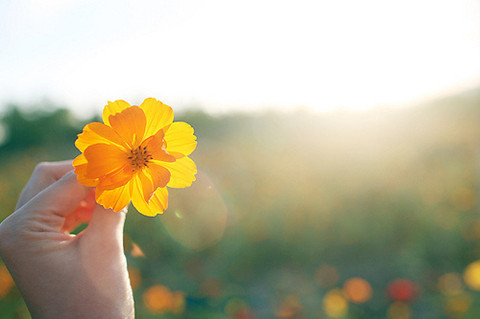 什么是低代码?2000字低代码超全解读! 什么是低代码?2000字低代码超全解读!